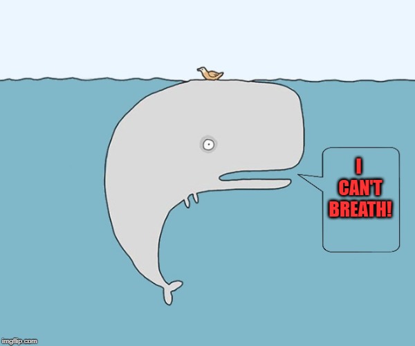 big problem | I CAN'T BREATH! | image tagged in whale,clog,joke | made w/ Imgflip meme maker