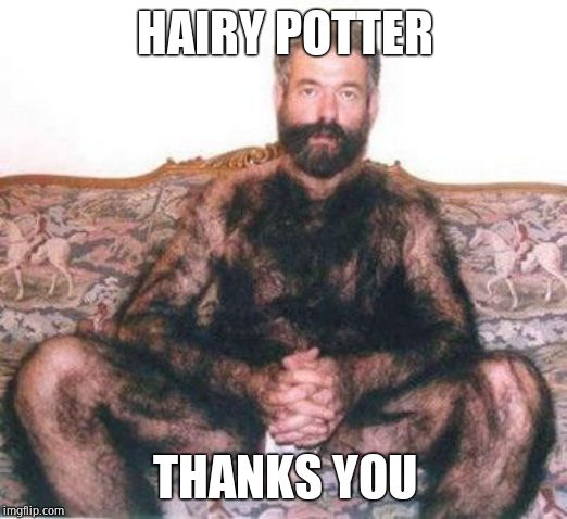 Hairy man | HAIRY POTTER THANKS YOU | image tagged in hairy man | made w/ Imgflip meme maker