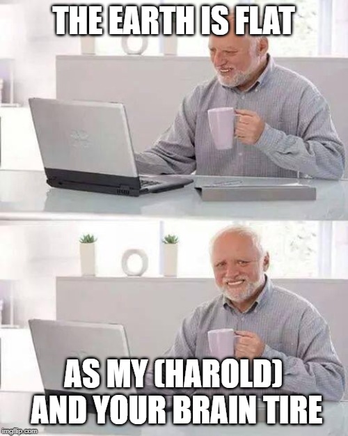 Hide the Pain Harold Meme | THE EARTH IS FLAT AS MY (HAROLD) AND YOUR BRAIN TIRE | image tagged in memes,hide the pain harold | made w/ Imgflip meme maker