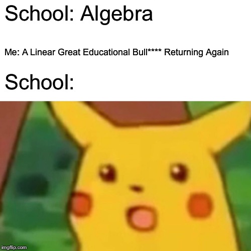 Surprised Pikachu Meme | School: Algebra Me: A Linear Great Educational Bull**** Returning Again School: | image tagged in memes,surprised pikachu | made w/ Imgflip meme maker