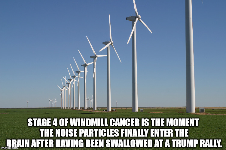 windmill | STAGE 4 OF WINDMILL CANCER IS THE MOMENT THE NOISE PARTICLES FINALLY ENTER THE BRAIN AFTER HAVING BEEN SWALLOWED AT A TRUMP RALLY. | image tagged in windmill | made w/ Imgflip meme maker
