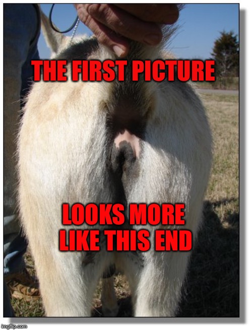 Libtard Mirror | THE FIRST PICTURE LOOKS MORE LIKE THIS END | image tagged in libtard mirror | made w/ Imgflip meme maker