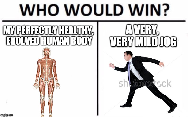 Who Would Win? | MY PERFECTLY HEALTHY, EVOLVED HUMAN BODY; A VERY, VERY MILD JOG | image tagged in memes,who would win | made w/ Imgflip meme maker