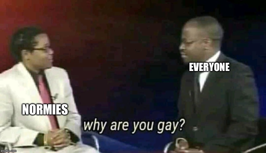 Why are you gay? | EVERYONE; NORMIES | image tagged in why are you gay | made w/ Imgflip meme maker