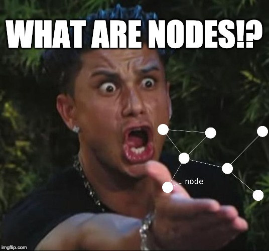 what are nodes | WHAT ARE NODES!? | image tagged in memes,dj pauly d,coding,code | made w/ Imgflip meme maker