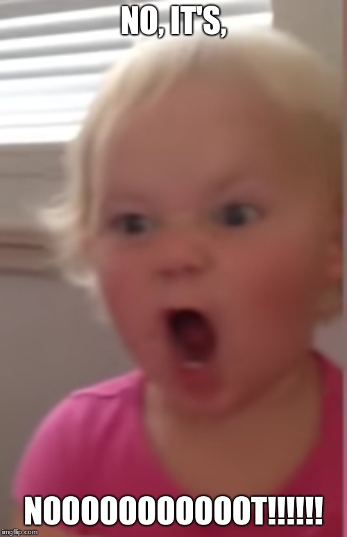 Screaming toddler | NO, IT'S, NOOOOOOOOOOOT!!!!!! | image tagged in screaming toddler | made w/ Imgflip meme maker