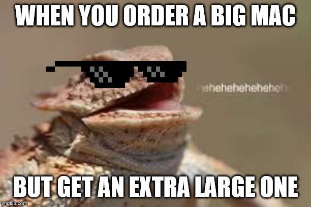big mac | WHEN YOU ORDER A BIG MAC; BUT GET AN EXTRA LARGE ONE | image tagged in heheheheh dragon,ha,mc donalds | made w/ Imgflip meme maker