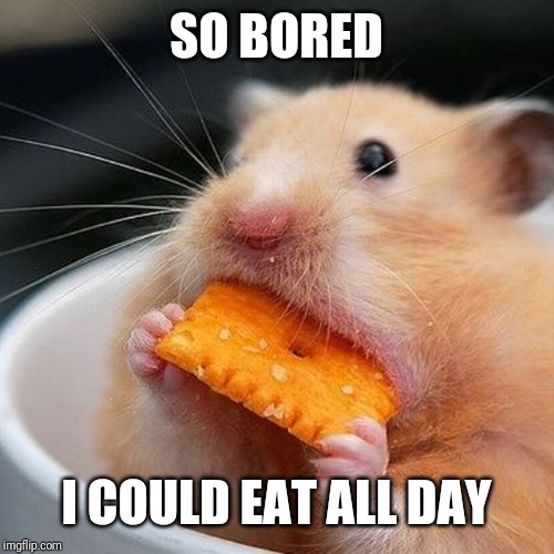Soooo bored | SO BORED; I COULD EAT ALL DAY | image tagged in bored,funny | made w/ Imgflip meme maker