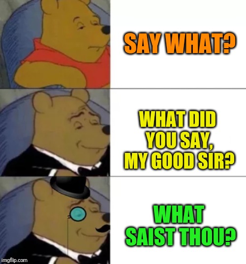 Fancy pooh | SAY WHAT? WHAT DID YOU SAY, MY GOOD SIR? WHAT SAIST THOU? | image tagged in fancy pooh | made w/ Imgflip meme maker