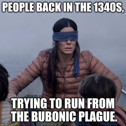 Bird Box | PEOPLE BACK IN THE 1340S, TRYING TO RUN FROM THE BUBONIC PLAGUE. | image tagged in memes,bird box | made w/ Imgflip meme maker
