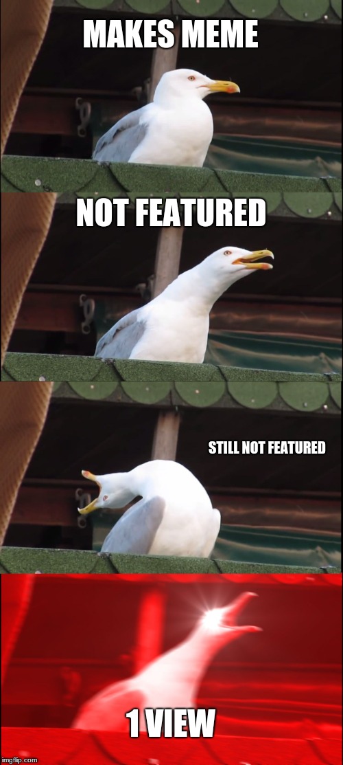 Inhaling Seagull Meme | MAKES MEME; NOT FEATURED; STILL NOT FEATURED; 1 VIEW | image tagged in memes,inhaling seagull | made w/ Imgflip meme maker