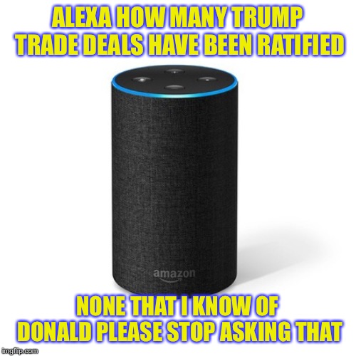 Alexa this is so sad  | ALEXA HOW MANY TRUMP TRADE DEALS HAVE BEEN RATIFIED; NONE THAT I KNOW OF DONALD PLEASE STOP ASKING THAT | image tagged in alexa this is so sad | made w/ Imgflip meme maker