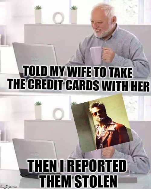 His Name is Harold | TOLD MY WIFE TO TAKE THE CREDIT CARDS WITH HER; THEN I REPORTED THEM STOLEN | image tagged in memes,hide the pain harold,fight club,tyler durden,marriage,dark humor | made w/ Imgflip meme maker