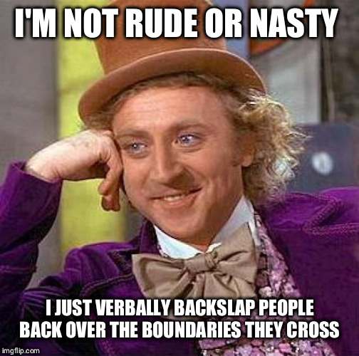 Creepy Condescending Wonka | I'M NOT RUDE OR NASTY; I JUST VERBALLY BACKSLAP PEOPLE BACK OVER THE BOUNDARIES THEY CROSS | image tagged in memes,creepy condescending wonka | made w/ Imgflip meme maker