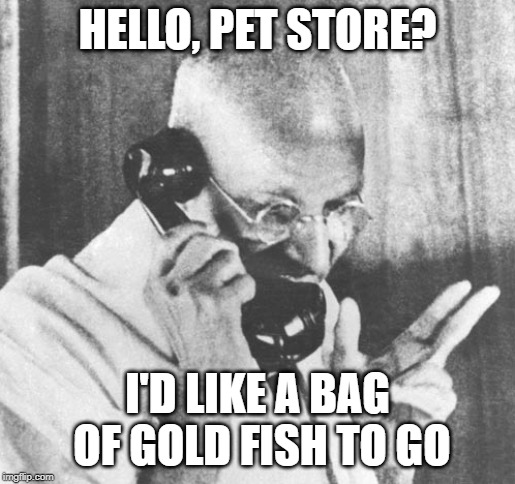 HELLO, PET STORE? I'D LIKE A BAG OF GOLD FISH TO GO | image tagged in memes,gandhi | made w/ Imgflip meme maker
