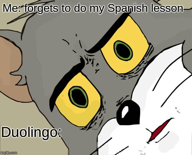 Unsettled Tom Meme | Me: forgets to do my Spanish lesson; Duolingo: | image tagged in memes,unsettled tom | made w/ Imgflip meme maker