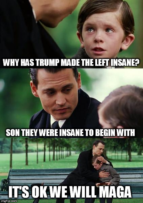 Finding Neverland | WHY HAS TRUMP MADE THE LEFT INSANE? SON THEY WERE INSANE TO BEGIN WITH; IT'S OK WE WILL MAGA | image tagged in memes,finding neverland | made w/ Imgflip meme maker