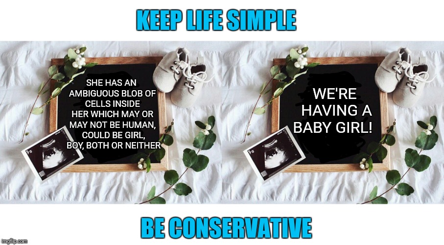 It's too complex for me | KEEP LIFE SIMPLE; WE'RE HAVING A BABY GIRL! SHE HAS AN AMBIGUOUS BLOB OF CELLS INSIDE HER WHICH MAY OR MAY NOT BE HUMAN,  COULD BE GIRL,  BOY, BOTH OR NEITHER; BE CONSERVATIVE | image tagged in liberal vs conservative,simple,life | made w/ Imgflip meme maker