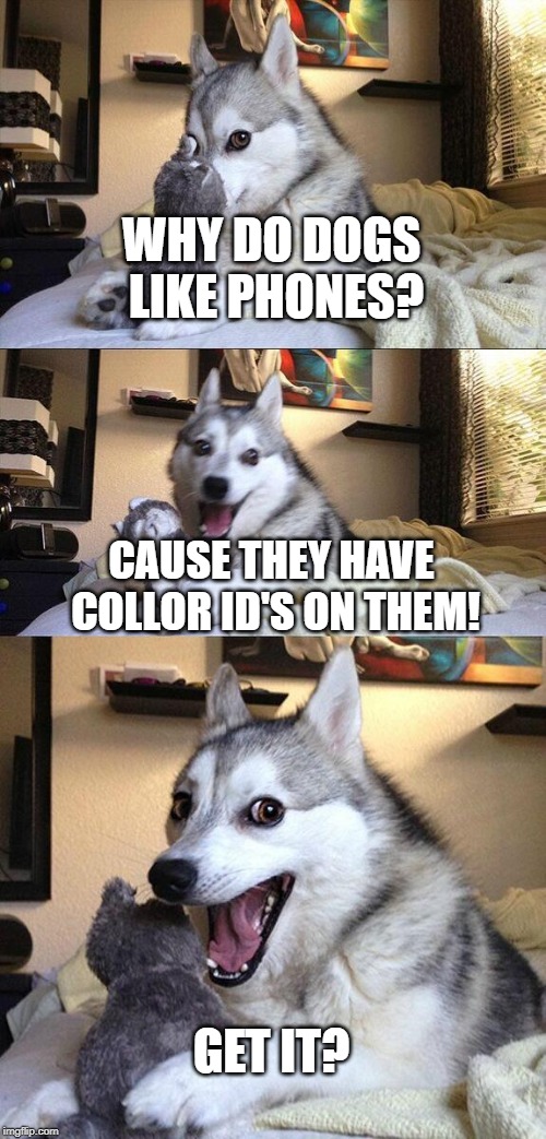 Bad Pun Dog Meme | WHY DO DOGS LIKE PHONES? CAUSE THEY HAVE COLLOR ID'S ON THEM! GET IT? | image tagged in memes,bad pun dog | made w/ Imgflip meme maker