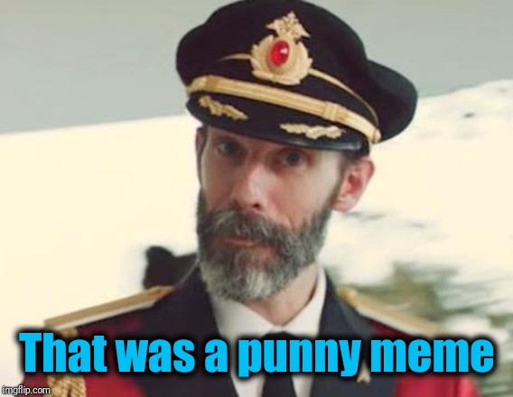 Captain Obvious | That was a punny meme | image tagged in captain obvious | made w/ Imgflip meme maker