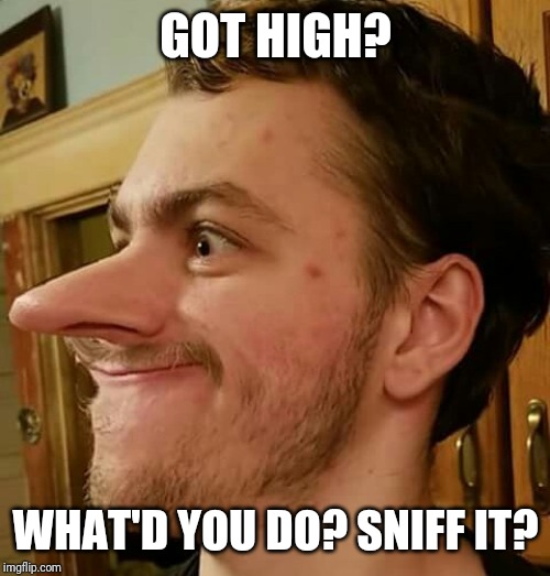 Joe The Sniffer | GOT HIGH? WHAT'D YOU DO? SNIFF IT? | image tagged in joe the sniffer | made w/ Imgflip meme maker