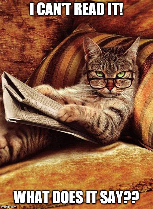 cat reading | I CAN'T READ IT! WHAT DOES IT SAY?? | image tagged in cat reading | made w/ Imgflip meme maker