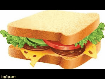 Sandwich?! | image tagged in gifs,sandwich | made w/ Imgflip images-to-gif maker