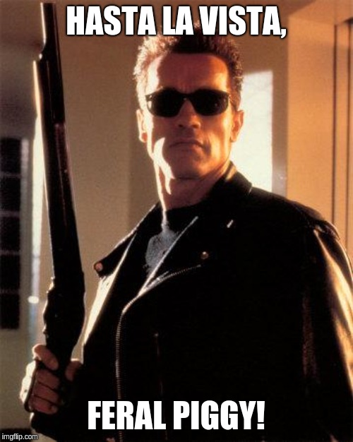 Terminator 2 | HASTA LA VISTA, FERAL PIGGY! | image tagged in terminator 2 | made w/ Imgflip meme maker