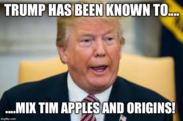 The Origin of Oranges or the Oranges of Origins! | TRUMP HAS BEEN KNOWN TO.... ....MIX TIM APPLES AND ORIGINS! | image tagged in donald trump | made w/ Imgflip meme maker