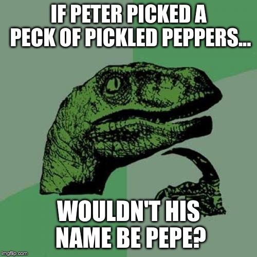 Philosoraptor | IF PETER PICKED A PECK OF PICKLED PEPPERS... WOULDN'T HIS NAME BE PEPE? | image tagged in memes,philosoraptor | made w/ Imgflip meme maker