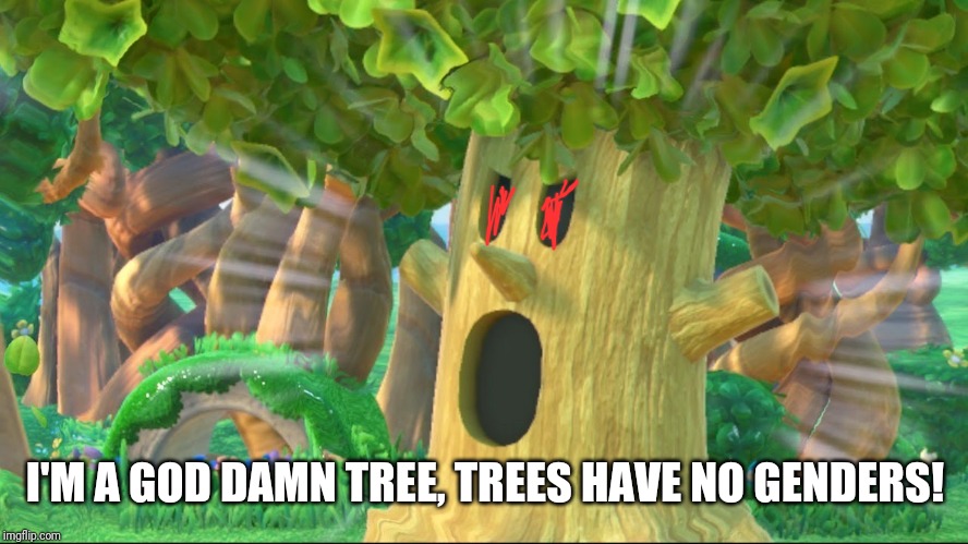 Whispy Woods screaming | I'M A GO***AMN TREE, TREES HAVE NO GENDERS! | image tagged in whispy woods screaming | made w/ Imgflip meme maker