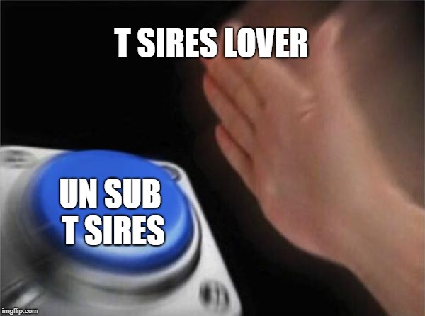 Blank Nut Button | T SIRES LOVER; UN SUB T SIRES | image tagged in memes,blank nut button | made w/ Imgflip meme maker