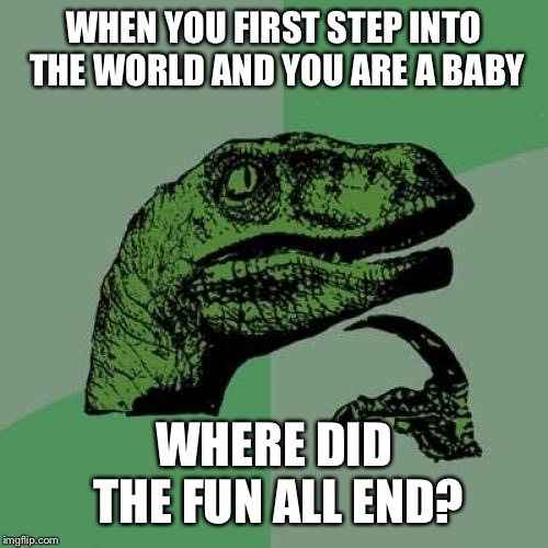 Philosoraptor Meme | WHEN YOU FIRST STEP INTO THE WORLD AND YOU ARE A BABY; WHERE DID THE FUN ALL END? | image tagged in memes,philosoraptor | made w/ Imgflip meme maker