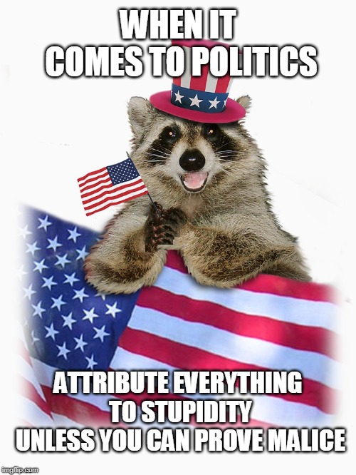 you know it's true... | WHEN IT COMES TO POLITICS; ATTRIBUTE EVERYTHING TO STUPIDITY UNLESS YOU CAN PROVE MALICE | image tagged in american politics,politics,raccoon,we the people | made w/ Imgflip meme maker