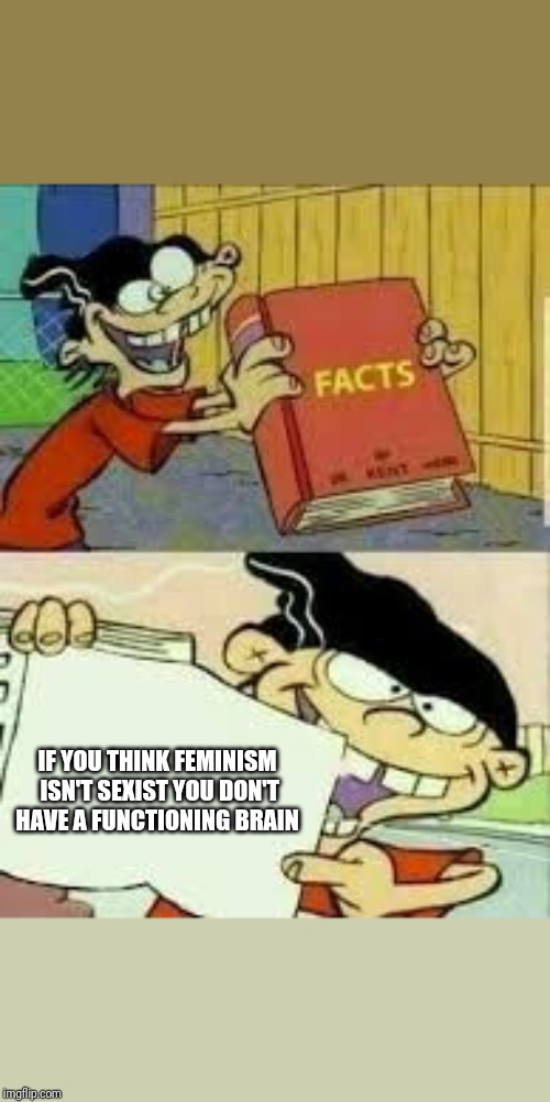 book of facts | IF YOU THINK FEMINISM ISN'T SEXIST YOU DON'T HAVE A FUNCTIONING BRAIN | image tagged in book of facts | made w/ Imgflip meme maker