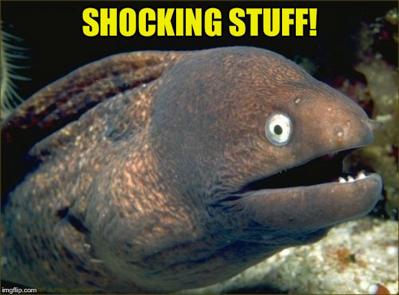 Bad Joke Eel Meme | SHOCKING STUFF! | image tagged in memes,bad joke eel | made w/ Imgflip meme maker