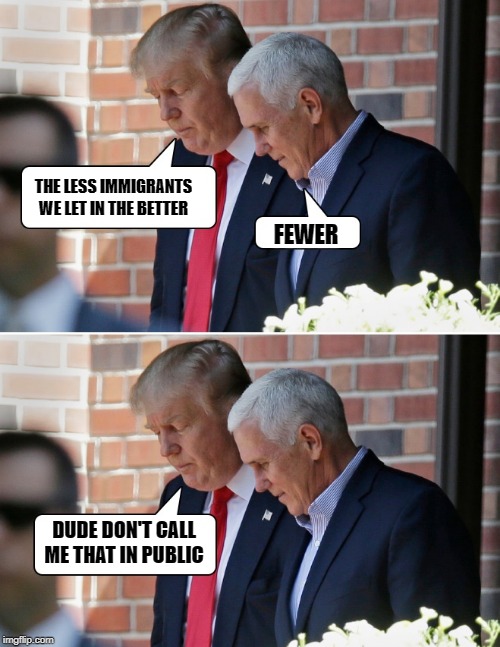 Fewer | THE LESS IMMIGRANTS WE LET IN THE BETTER; FEWER; DUDE DON'T CALL ME THAT IN PUBLIC | image tagged in trump,funny,fewer | made w/ Imgflip meme maker