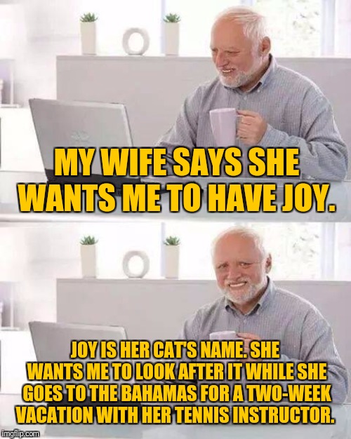 No Joy for You! | MY WIFE SAYS SHE WANTS ME TO HAVE JOY. JOY IS HER CAT'S NAME. SHE WANTS ME TO LOOK AFTER IT WHILE SHE GOES TO THE BAHAMAS FOR A TWO-WEEK VACATION WITH HER TENNIS INSTRUCTOR. | image tagged in memes,hide the pain harold,joy,cat,men and women,heavy petting | made w/ Imgflip meme maker