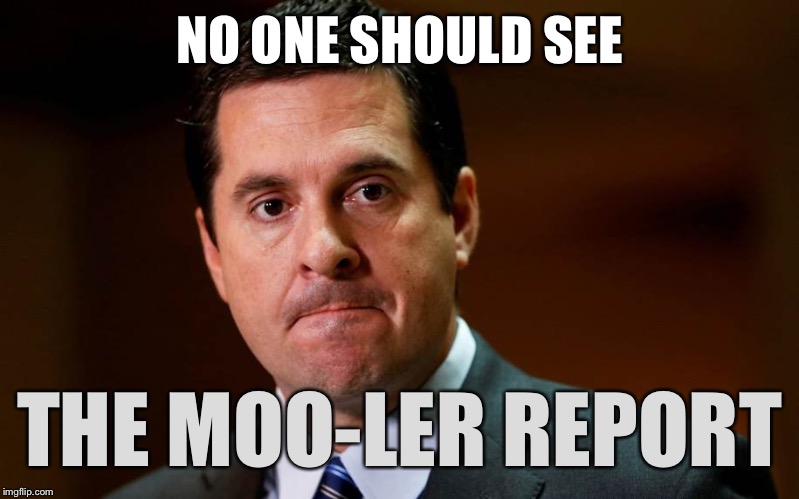 Devin Nunes | NO ONE SHOULD SEE; THE MOO-LER REPORT | image tagged in devin nunes,memes,mooler | made w/ Imgflip meme maker