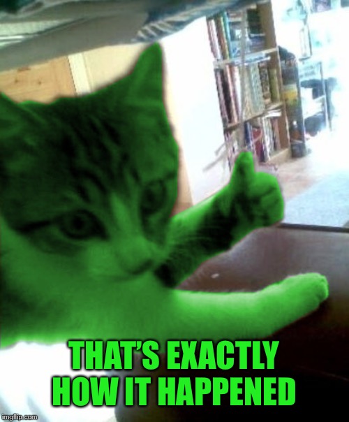 thumbs up RayCat | THAT’S EXACTLY HOW IT HAPPENED | image tagged in thumbs up raycat | made w/ Imgflip meme maker