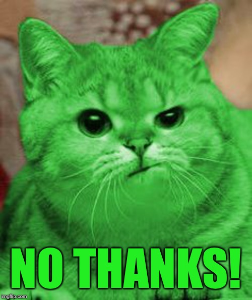 RayCat Annoyed | NO THANKS! | image tagged in raycat annoyed | made w/ Imgflip meme maker