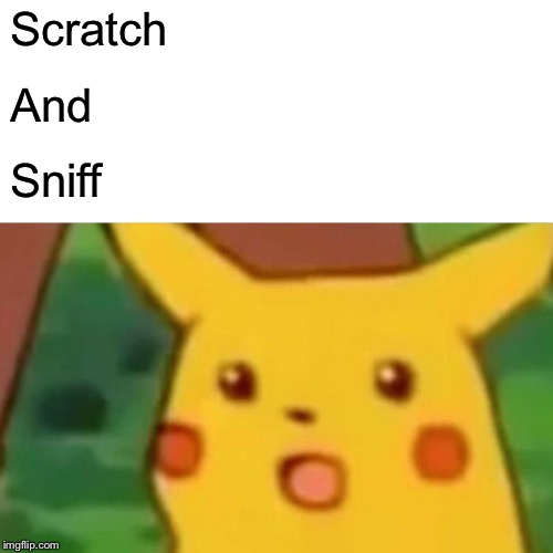 Surprised Pikachu Meme | Scratch And Sniff | image tagged in memes,surprised pikachu | made w/ Imgflip meme maker
