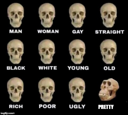 idiot skull | PRETTY | image tagged in idiot skull | made w/ Imgflip meme maker