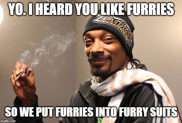 Snoop Dogg | YO. I HEARD YOU LIKE FURRIES SO WE PUT FURRIES INTO FURRY SUITS | image tagged in snoop dogg | made w/ Imgflip meme maker