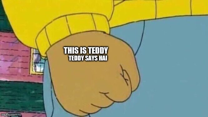 Arthur Fist | TEDDY SAYS HAI; THIS IS TEDDY | image tagged in memes,arthur fist | made w/ Imgflip meme maker