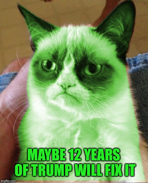 Radioactive Grumpy | MAYBE 12 YEARS OF TRUMP WILL FIX IT | image tagged in radioactive grumpy | made w/ Imgflip meme maker