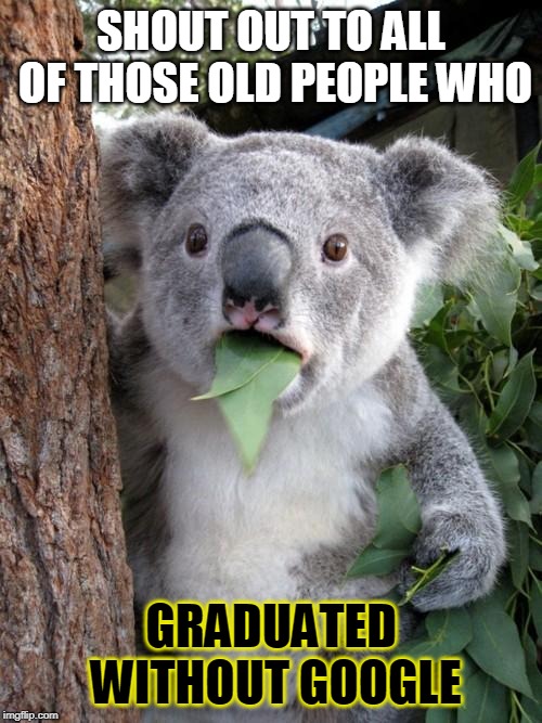 Surprised Koala | SHOUT OUT TO ALL OF THOSE OLD PEOPLE WHO; GRADUATED WITHOUT GOOGLE | image tagged in memes,surprised koala | made w/ Imgflip meme maker