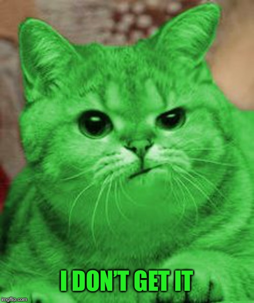 RayCat Annoyed | I DON’T GET IT | image tagged in raycat annoyed | made w/ Imgflip meme maker