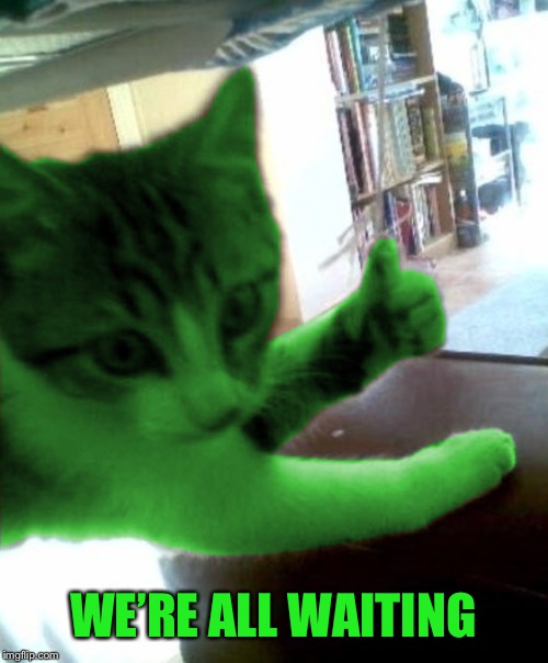 thumbs up RayCat | WE’RE ALL WAITING | image tagged in thumbs up raycat | made w/ Imgflip meme maker