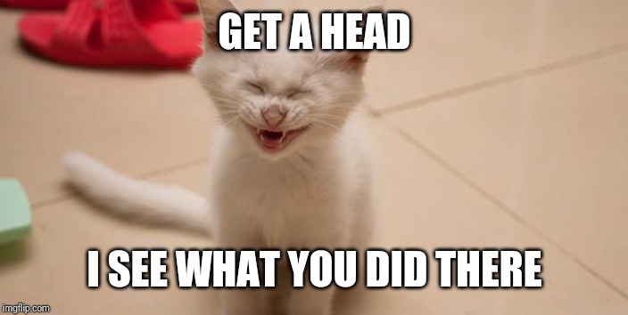 Cat Laughing | GET A HEAD I SEE WHAT YOU DID THERE | image tagged in cat laughing | made w/ Imgflip meme maker